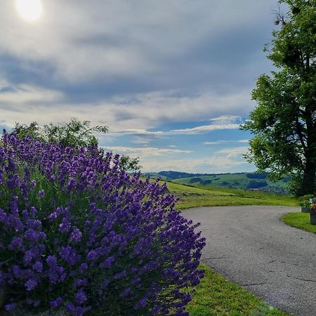 Unterbrandlberg Apartment Steinbach an der Steyr ภายนอก รูปภาพ