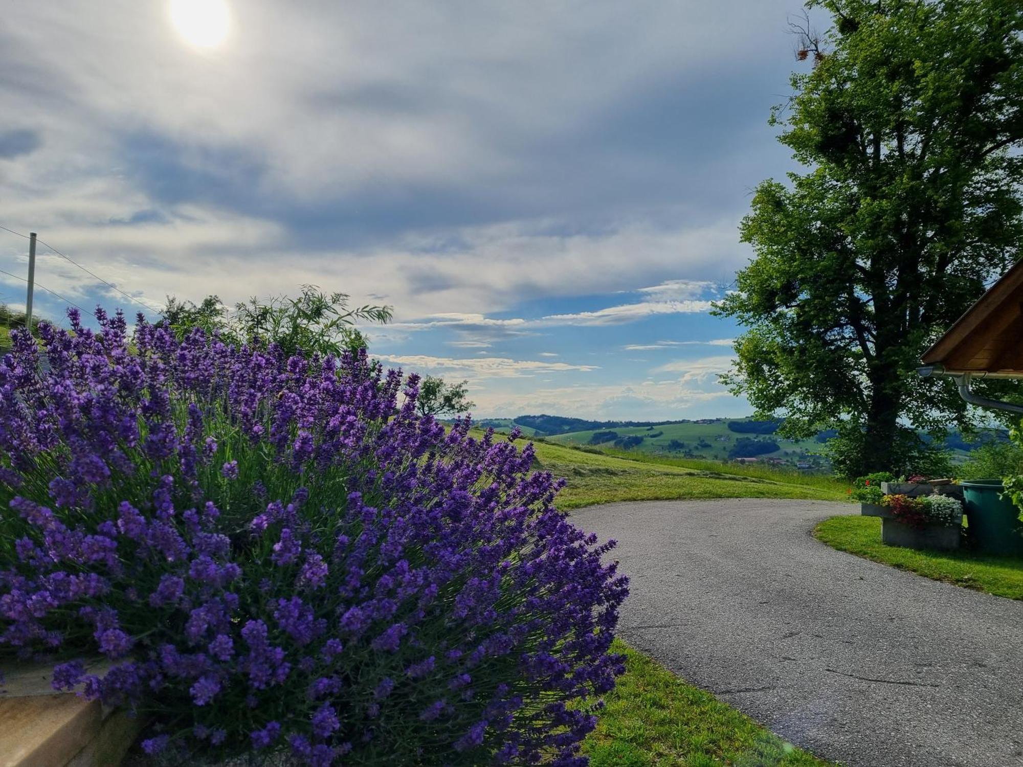 Unterbrandlberg Apartment Steinbach an der Steyr ภายนอก รูปภาพ